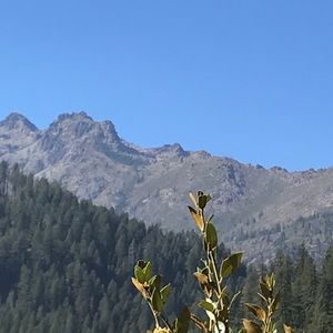 Meet your Posher, Jon